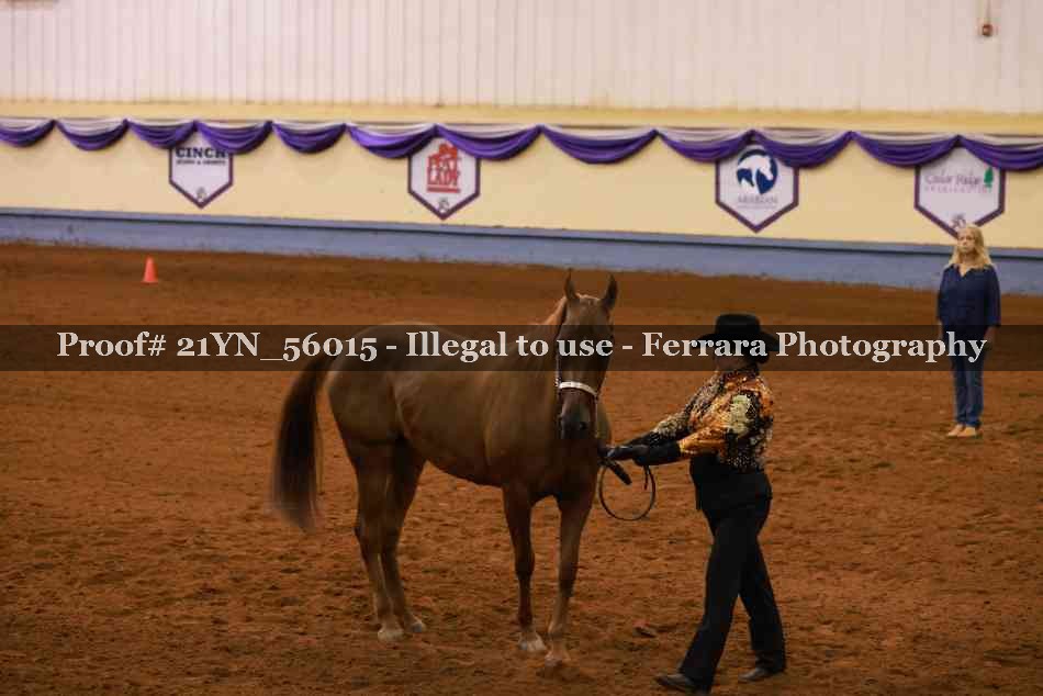 Proof 21YN_56015