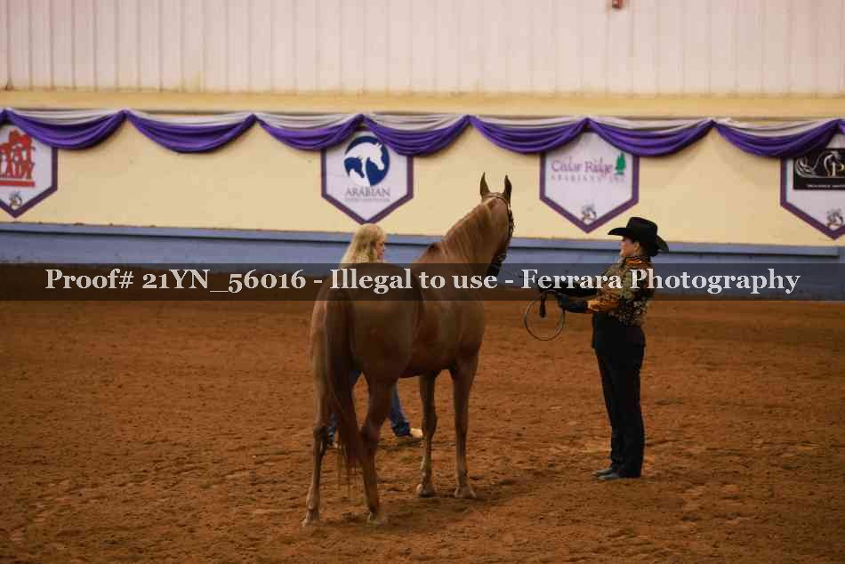 Proof 21YN_56016