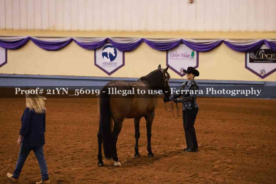 Proof 21YN_56019