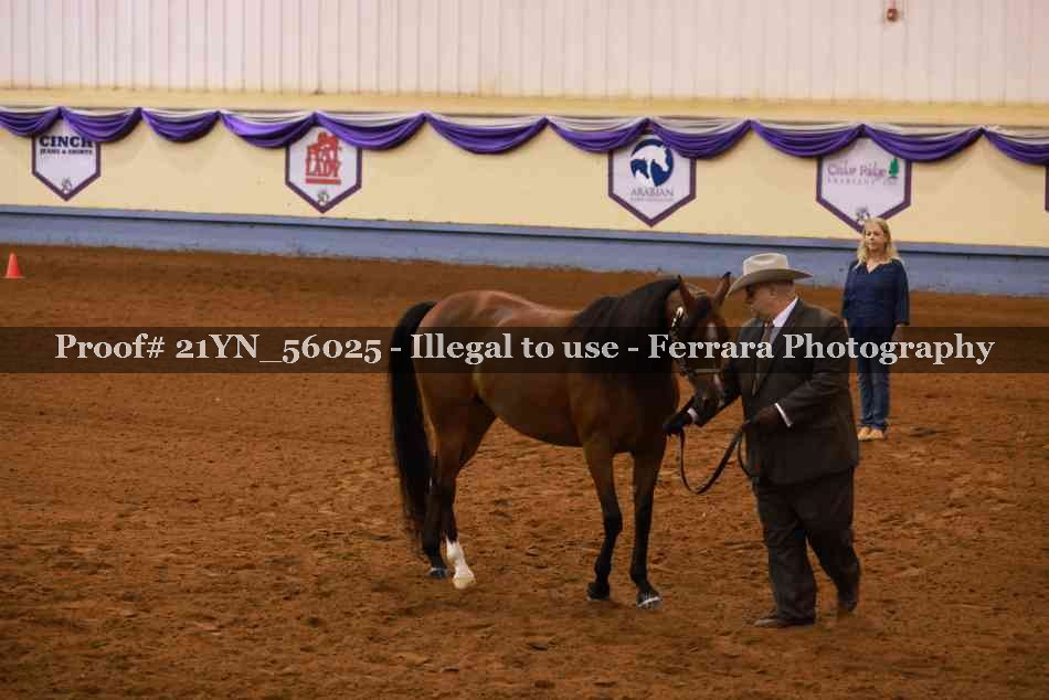 Proof 21YN_56025