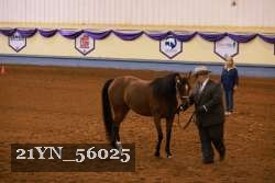 21YN_56025 proof