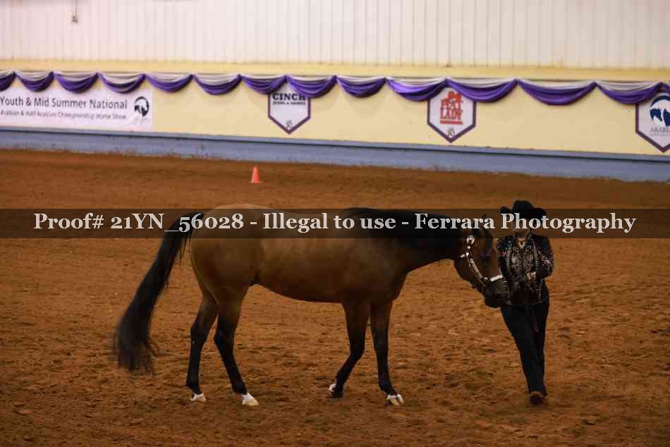 Proof 21YN_56028