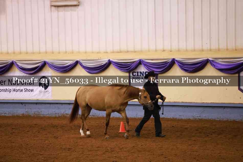 Proof 21YN_56033