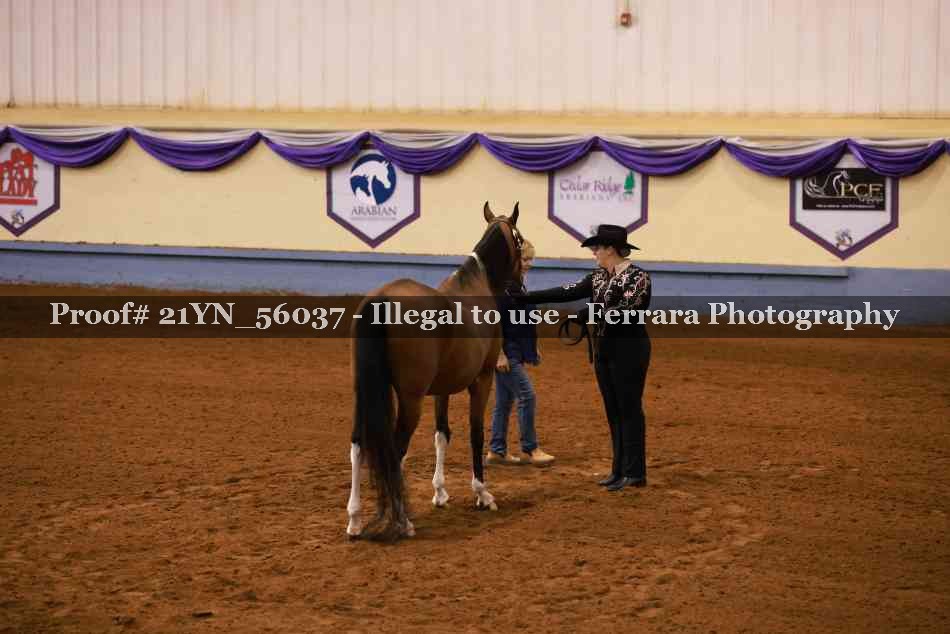 Proof 21YN_56037