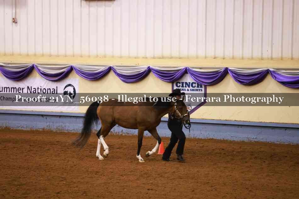 Proof 21YN_56038
