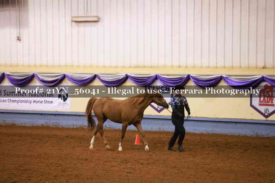 Proof 21YN_56041