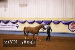 21YN_56041 proof
