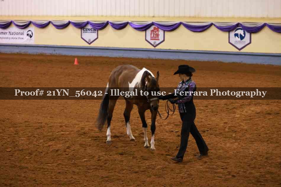 Proof 21YN_56042