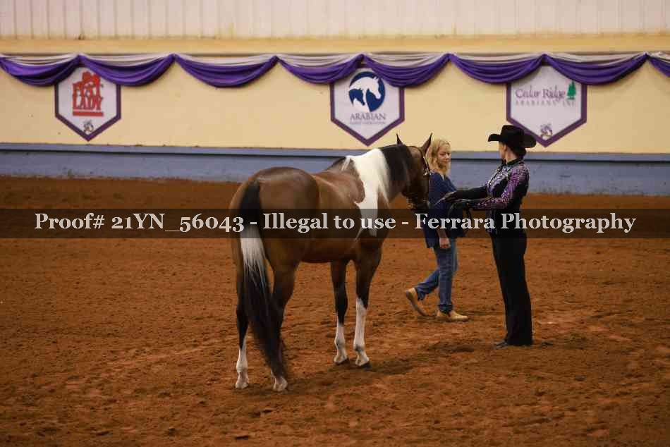 Proof 21YN_56043
