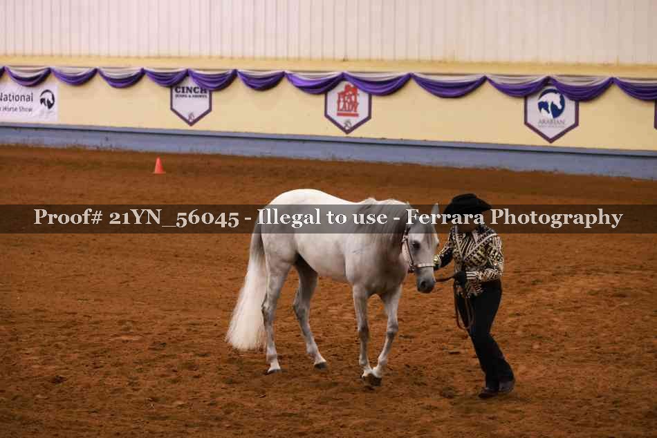 Proof 21YN_56045