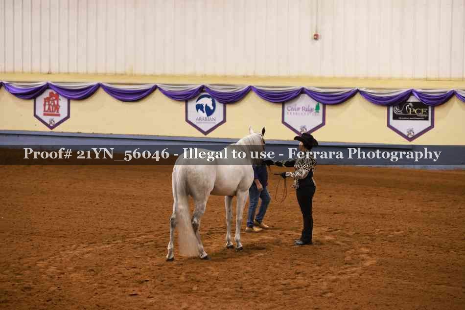 Proof 21YN_56046