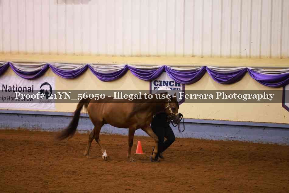 Proof 21YN_56050