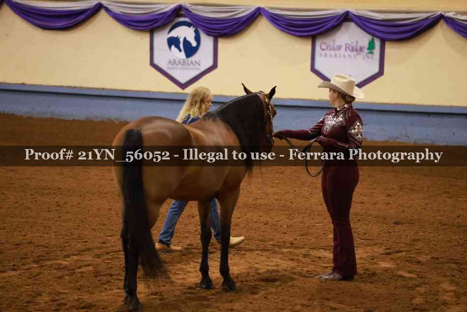Proof 21YN_56052