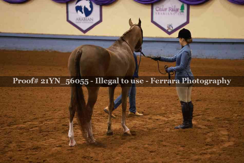 Proof 21YN_56055