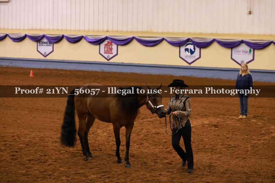 Proof 21YN_56057