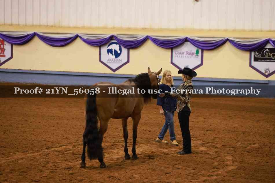 Proof 21YN_56058