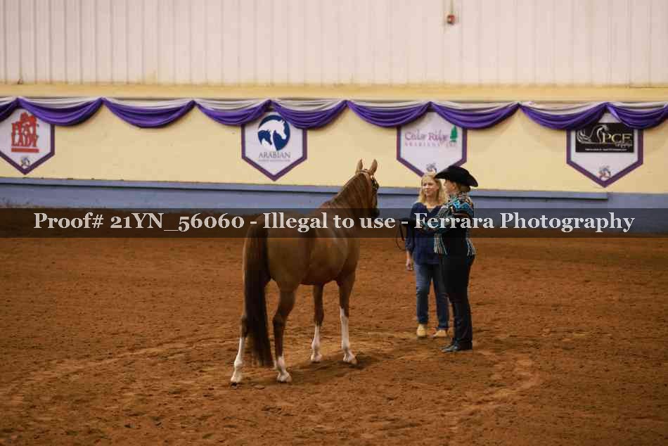 Proof 21YN_56060
