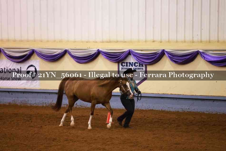 Proof 21YN_56061