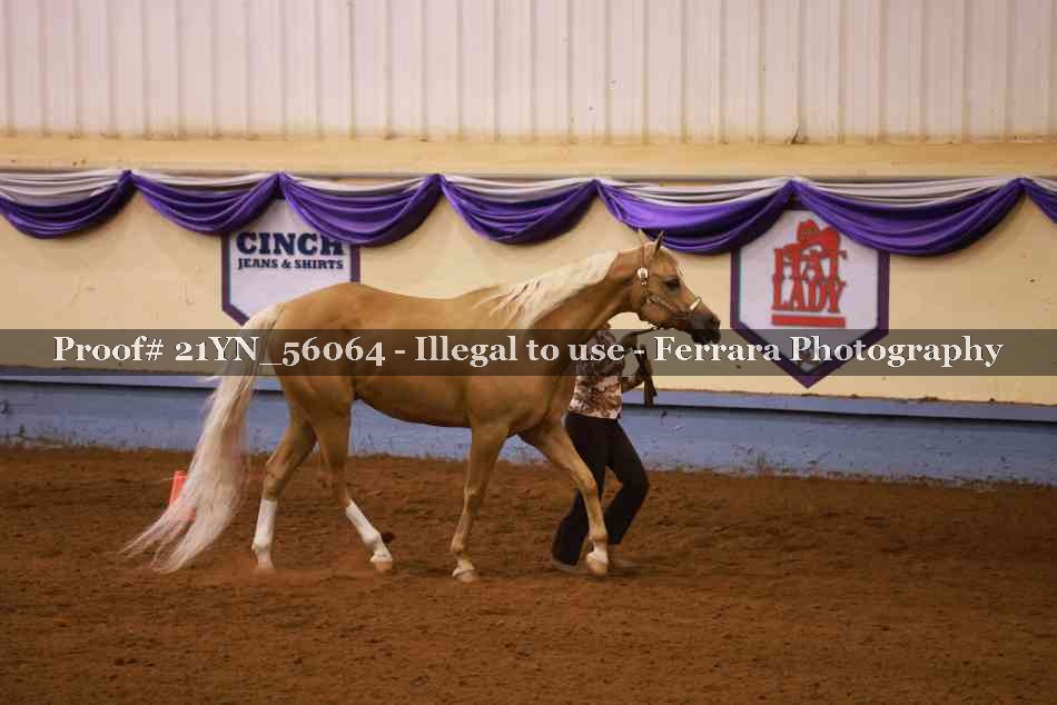 Proof 21YN_56064