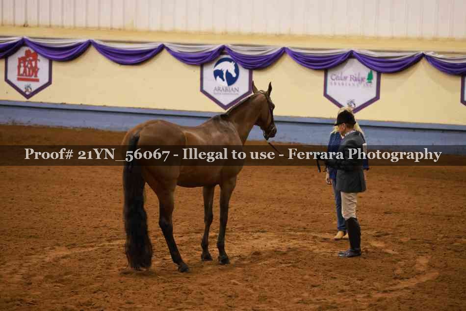 Proof 21YN_56067
