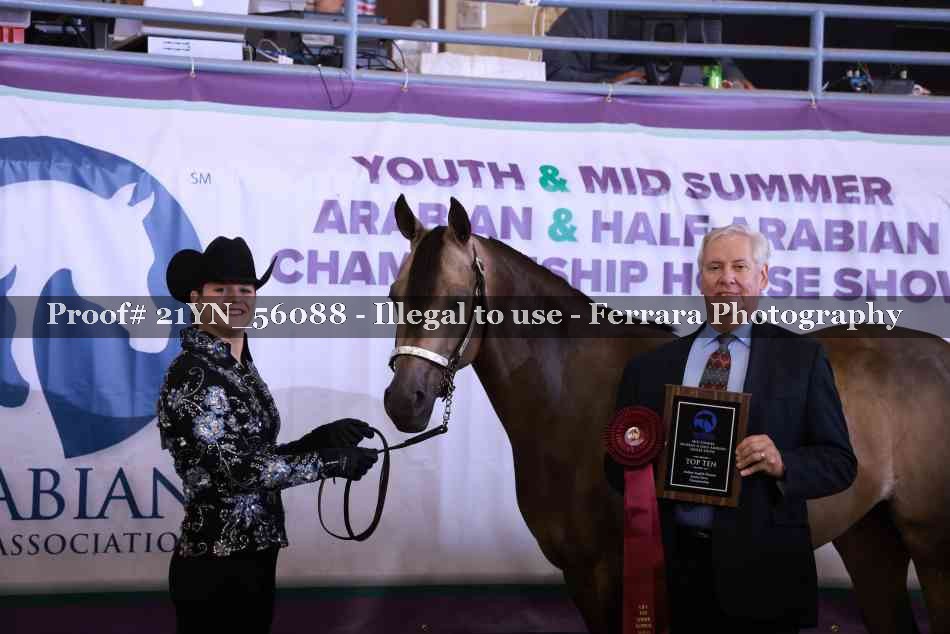 Proof 21YN_56088
