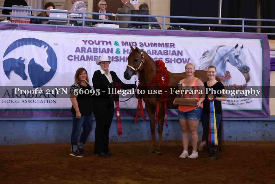 Proof 21YN_56095