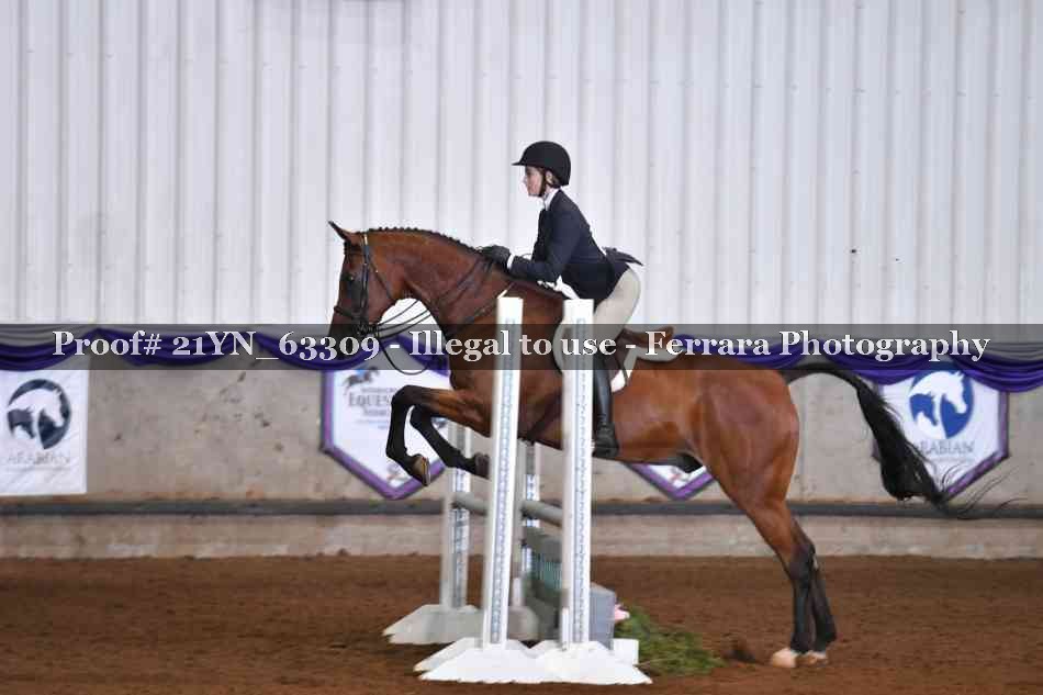 Proof 21YN_63309