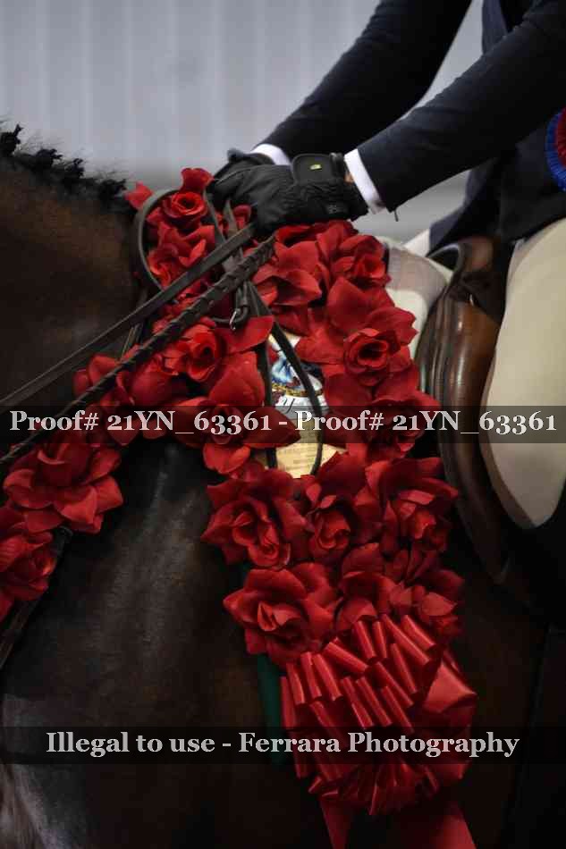Proof 21YN_63361