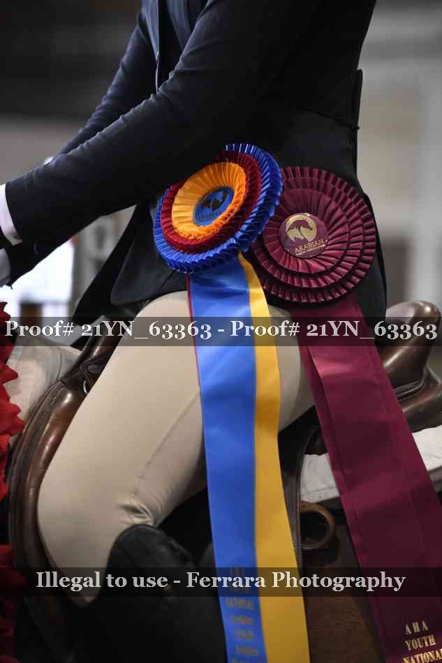 Proof 21YN_63363