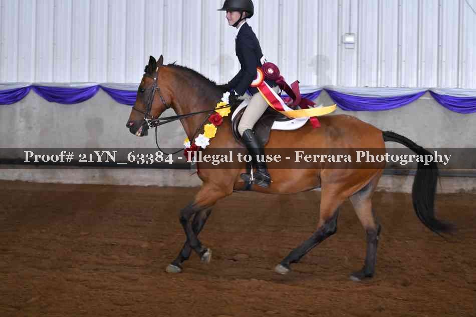 Proof 21YN_63384