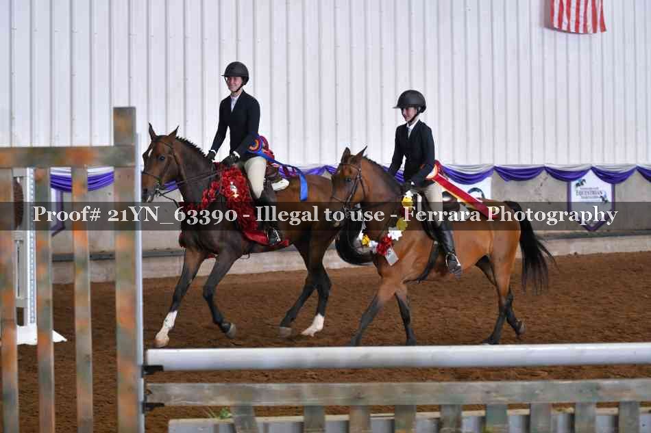 Proof 21YN_63390