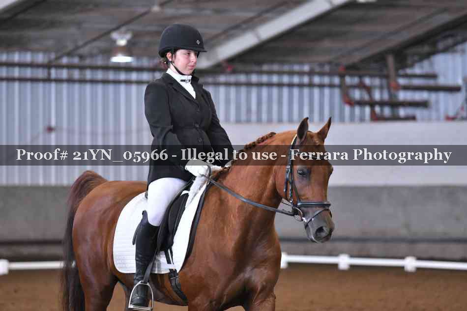 Proof 21YN_05966