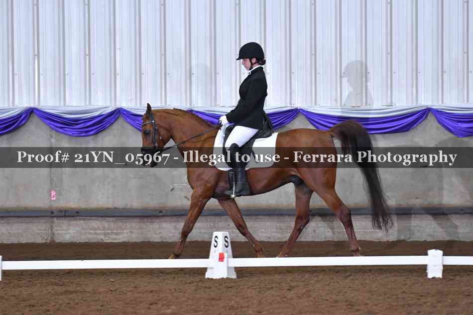 Proof 21YN_05967