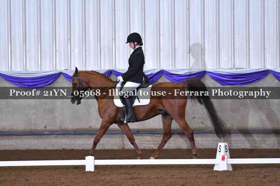Proof 21YN_05968
