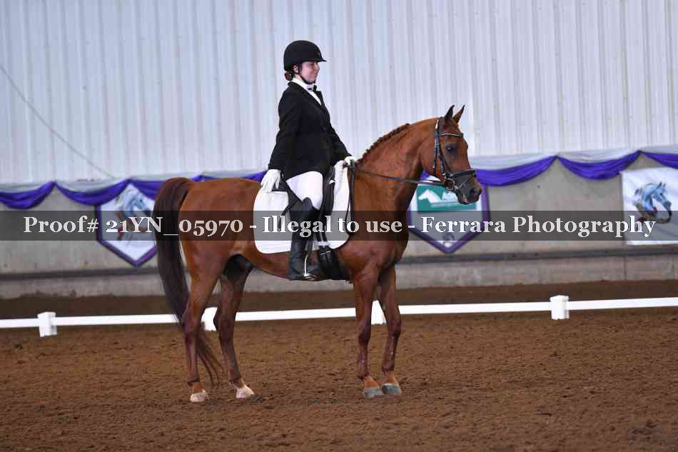 Proof 21YN_05970