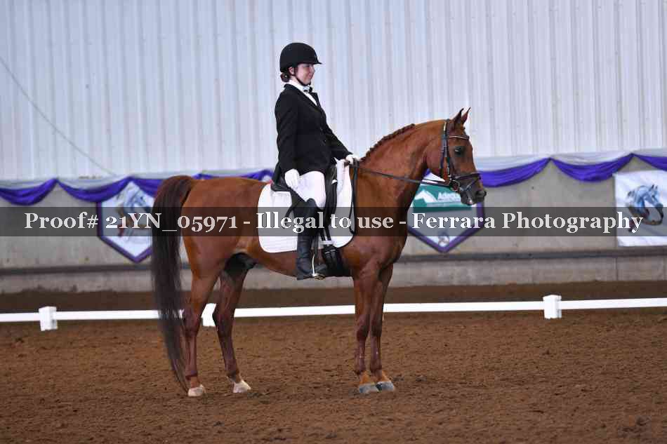 Proof 21YN_05971