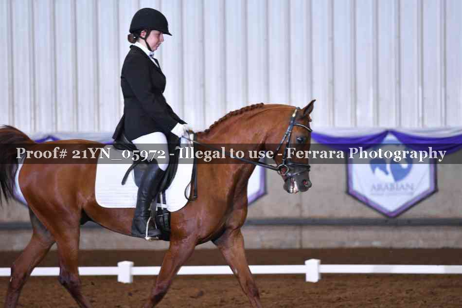 Proof 21YN_05972