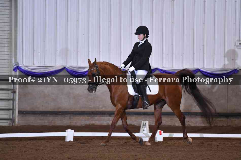 Proof 21YN_05973
