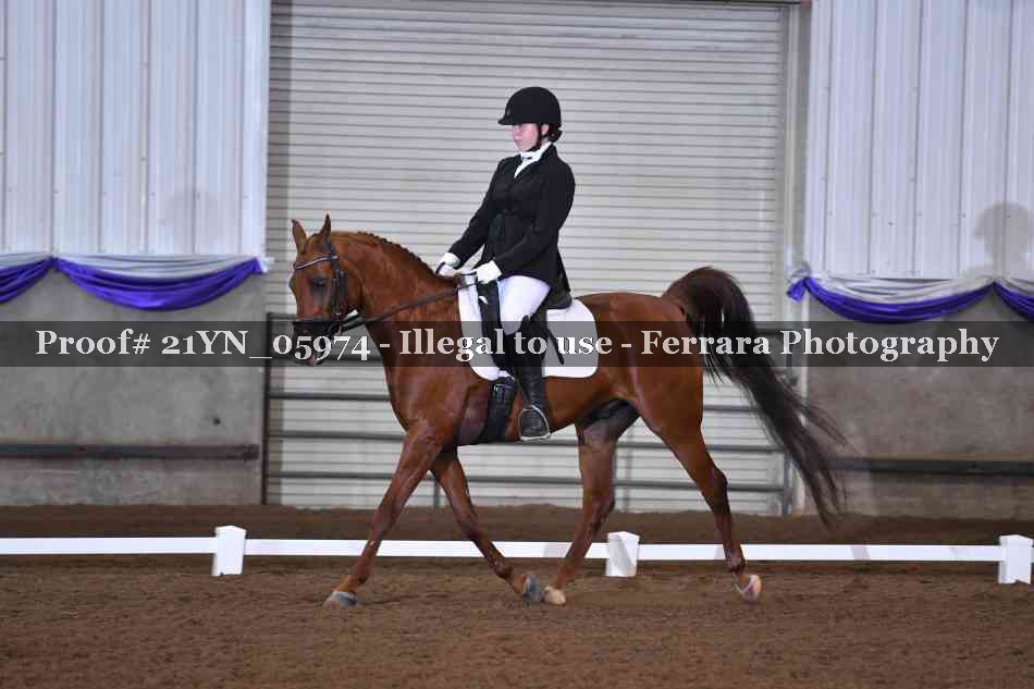 Proof 21YN_05974