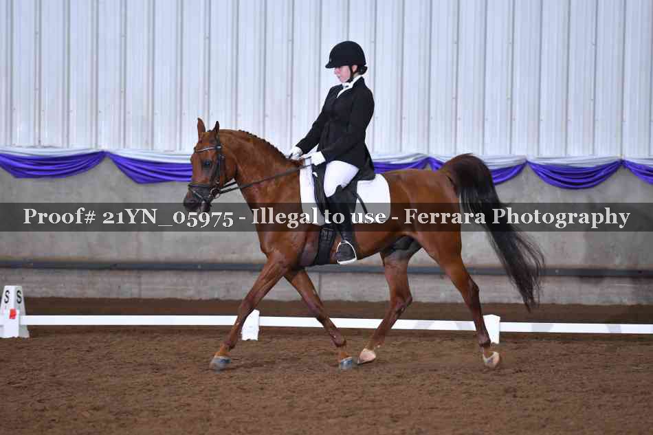 Proof 21YN_05975