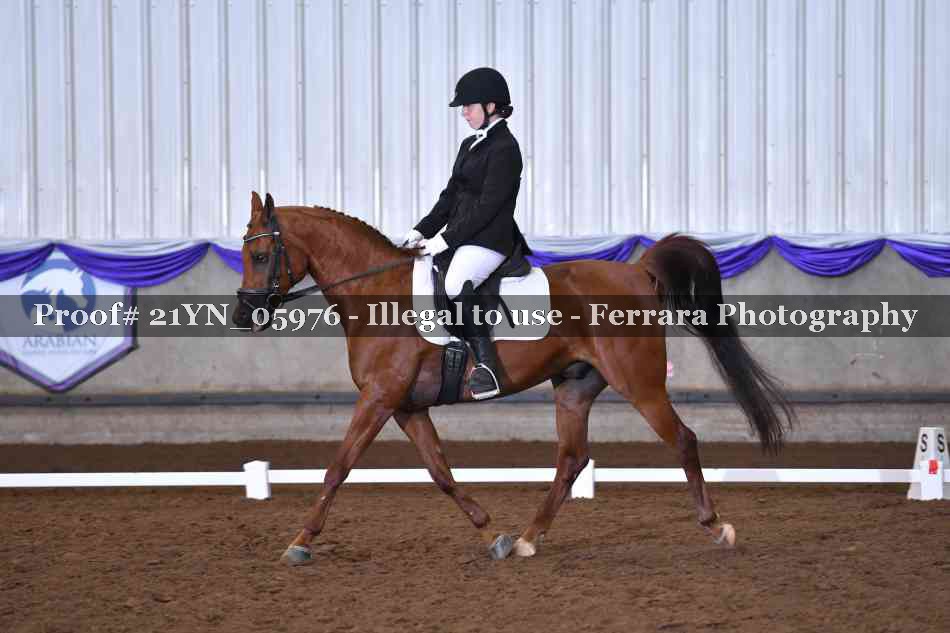 Proof 21YN_05976