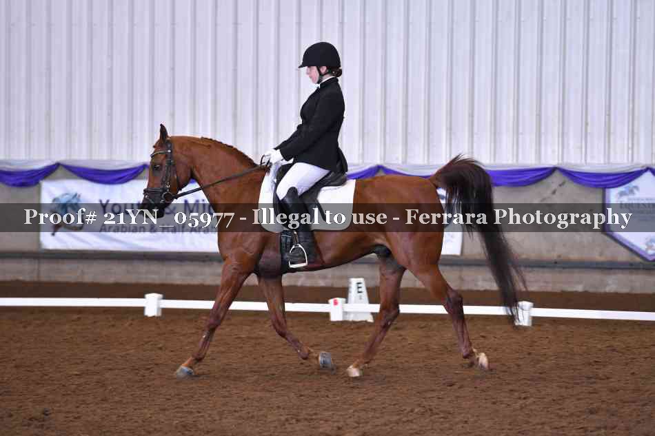 Proof 21YN_05977