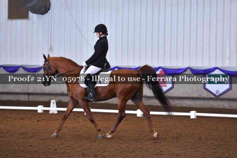 Proof 21YN_05978