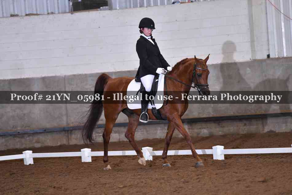 Proof 21YN_05981