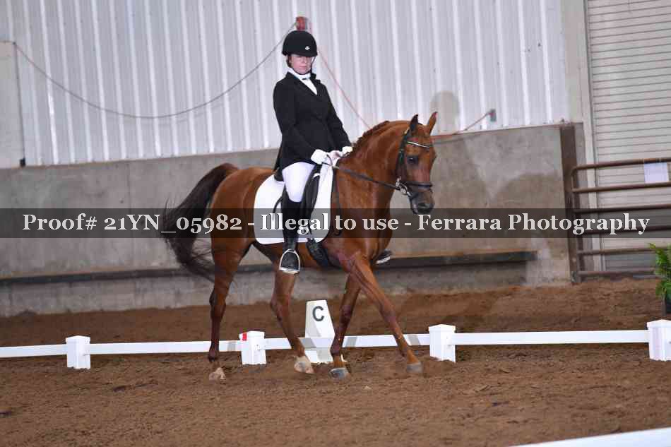 Proof 21YN_05982