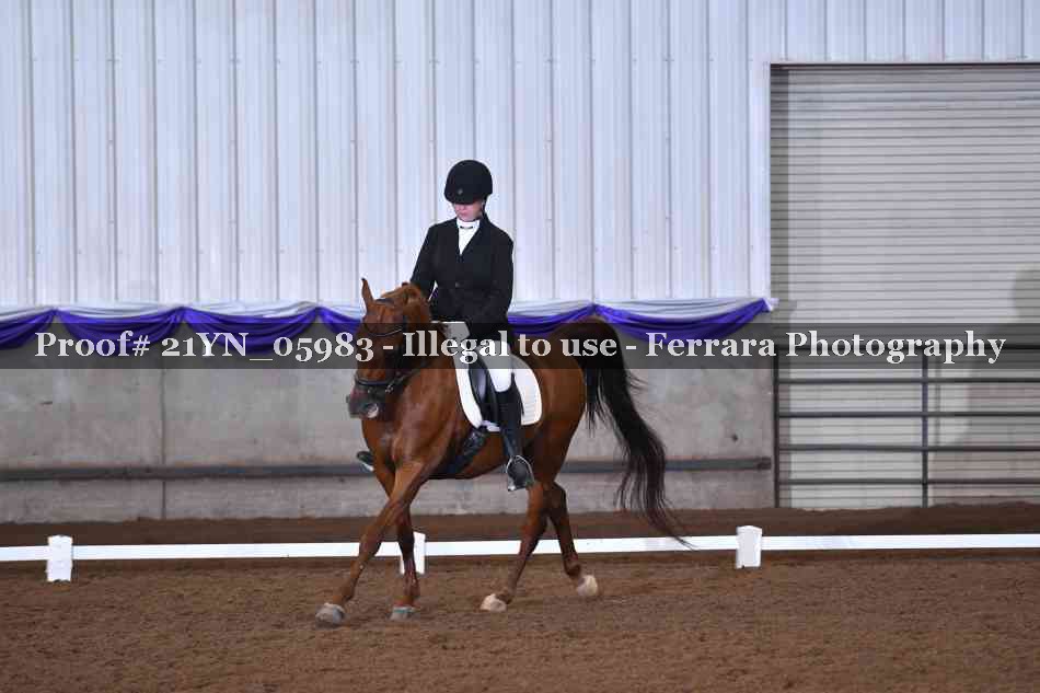 Proof 21YN_05983