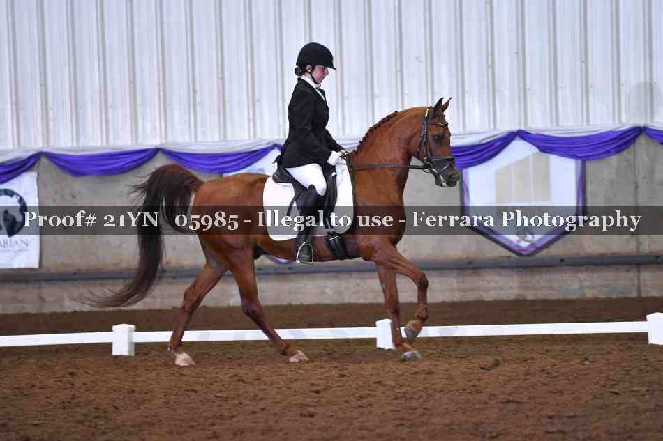 Proof 21YN_05985
