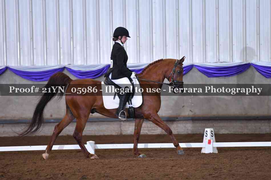 Proof 21YN_05986