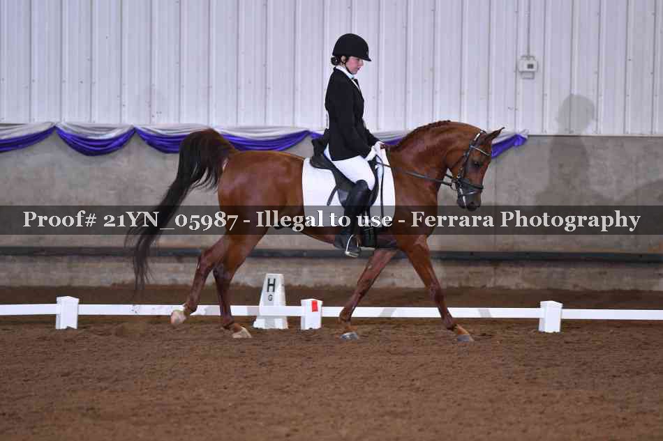 Proof 21YN_05987