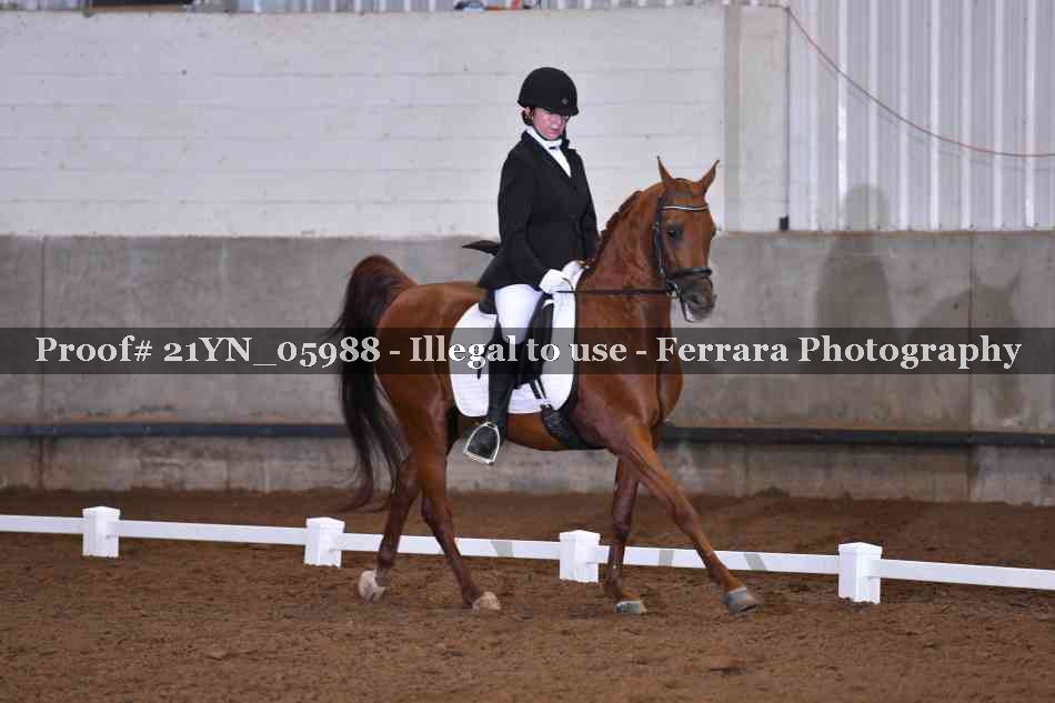 Proof 21YN_05988
